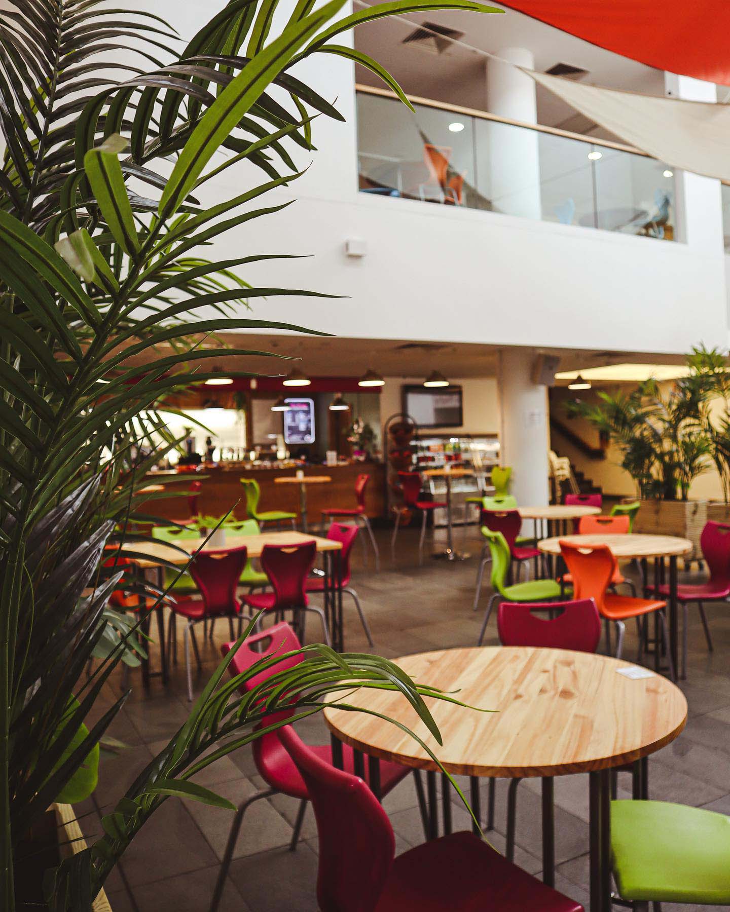 View of artsdepot cafe through one of the planters
